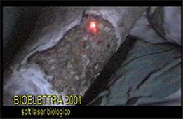 arti1.JPG (12302 byte)