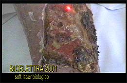 arti6.JPG (13954 byte)